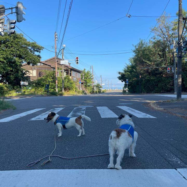 77b2ad50 2865 4451 819a 5e240fcb865f 1693696182077