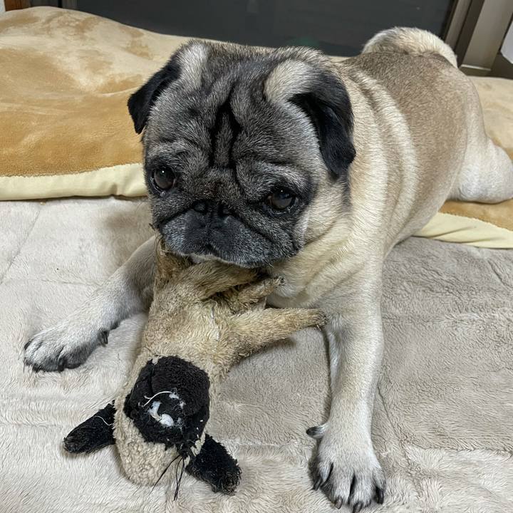 77b2dfe6 2a55 487b bdbc e98320c0be79 1619694542477