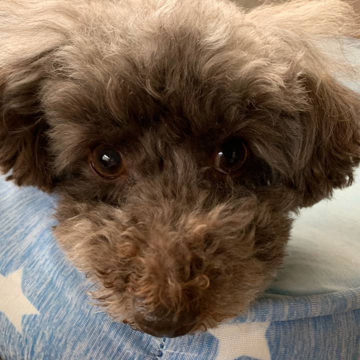 77b2f23a 1d1f 4f1d 94de 82c0b6ca49b7 1614931981872