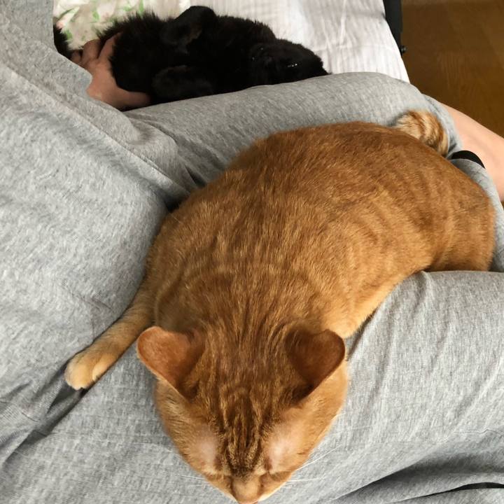 77b3097f c901 4597 a7c0 ff31f1419ed8 1583623968694