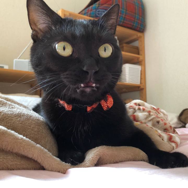 77b31ff9 5f11 49e4 9001 8ba22f0114c1 1563068464309