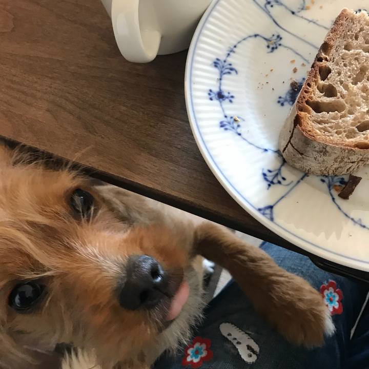 77b3319f de44 412c ad42 c631a93727fa 1522457468938