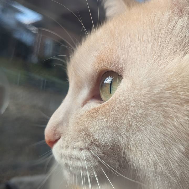 77b38bc9 0c1b 4d68 878c d523bc3b5eb6 1773011719297