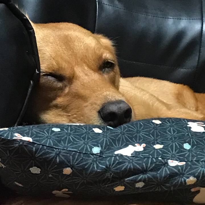 77b39e52 e28b 41a7 a990 e6d7779028db 1508899754401