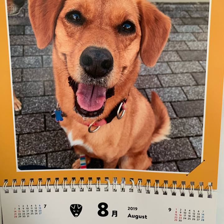 77b3a12f 89c0 495d b2f1 183dd77ca328 1564614949055