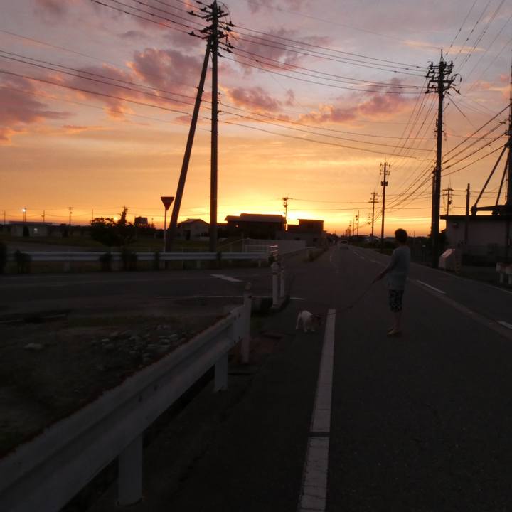 77b3b721 a9ec 4195 b0ef a433671024ec 1595068549412