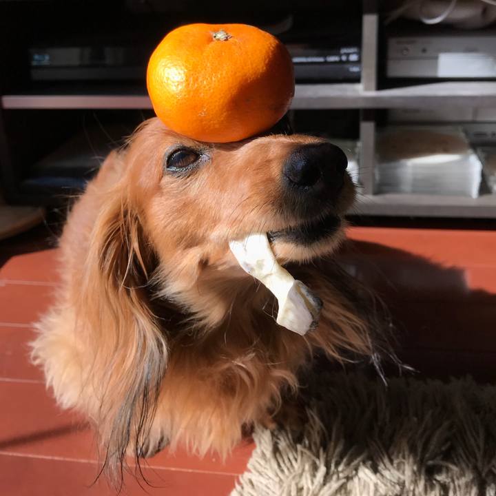 77b3d386 e7df 49ad a0f0 e4bba0d97867 1516931900841