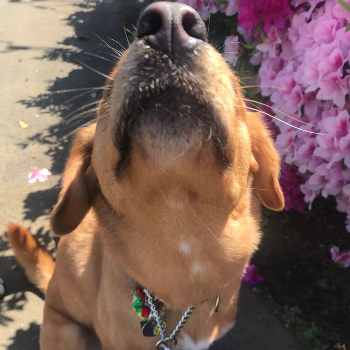 77b3dea8 414b 4ef0 9e22 b64234c52eb8 1557354844539