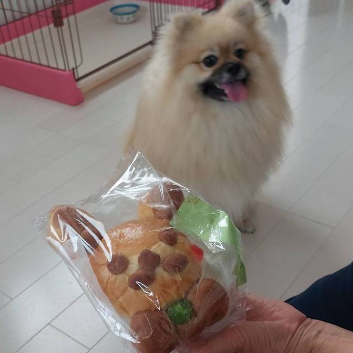 77b3eb73 b2f6 4f98 8751 d194b90a0be7 1660215956049