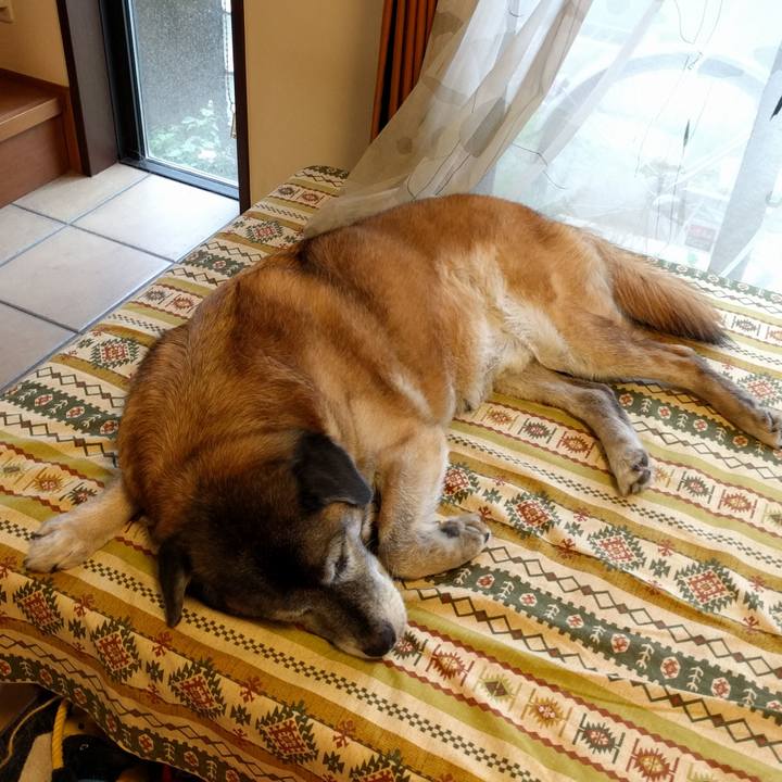 77b3ff43 31f5 4b0d 91d3 fbb607884eb1 1530836030769