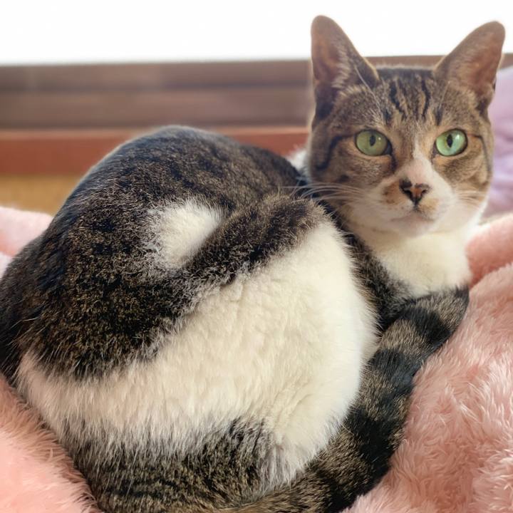 77b4631c 285c 4324 b05d cdd4f29b5b29 1581641728984