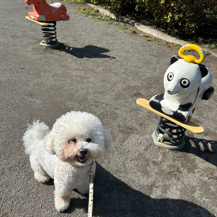 77b480ed ca9e 44d9 873e 2a44399e4142 1772885504652