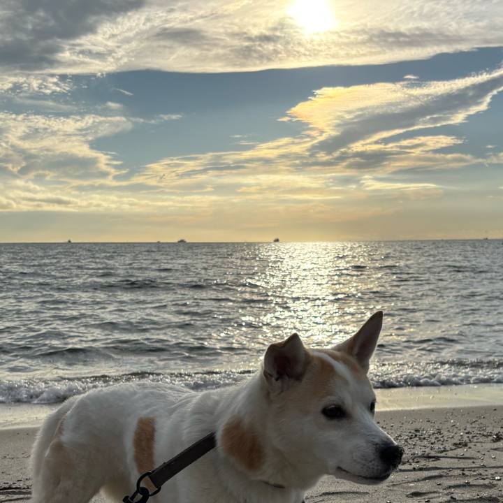 77b484fd 6548 436a 929e 878d336f4eee 1762082332066