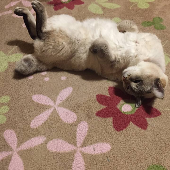 77b49ec3 7d38 4fa4 a72f 7e4f9d3957c4 1575373078880