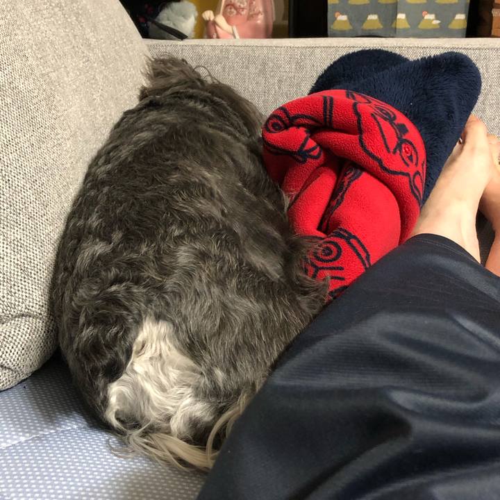 77b5053f 972f 470e 9d7c b42df6f1f3fe 1592744495022