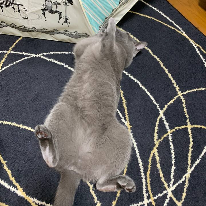 77b5145c 4fff 488f b9d7 6cc02a541806 1652364322471