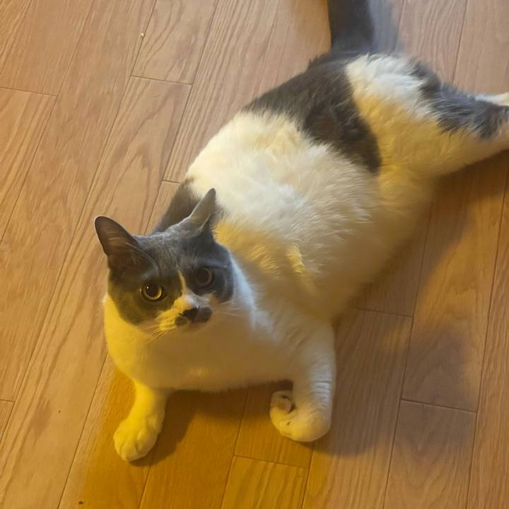 77b51905 4364 4d3c 94b2 ff9888c59540 1751583611058