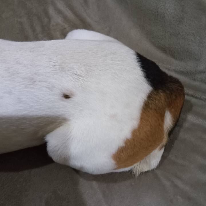 77b51b49 f8b0 4ed4 ad14 13a4e0a534b6 1743251968664