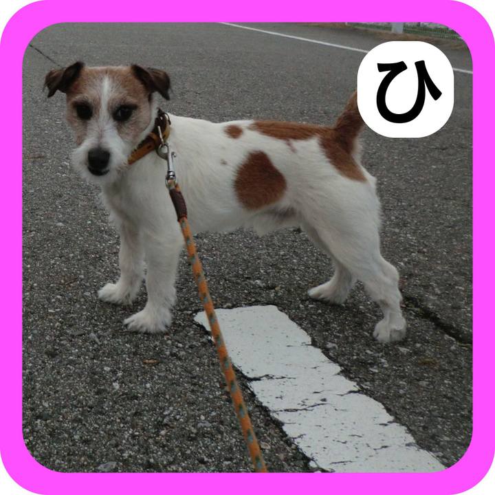 77b53ae1 0fd2 436f aef5 ea492d2c3665 1515076942827