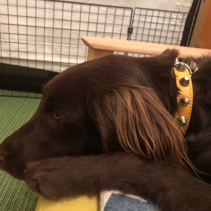 77b55a0d 3a0d 4cef 97c3 c66f27aa3473 1587129768930