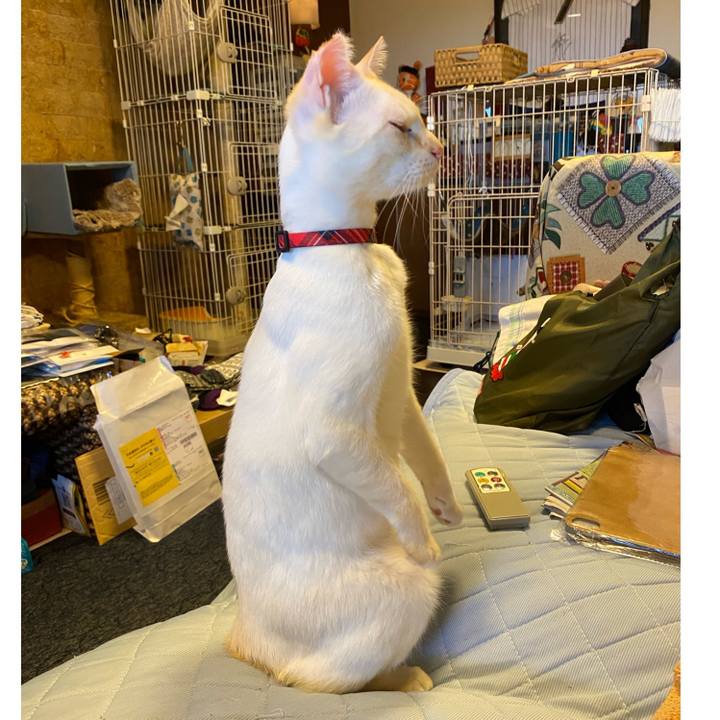 77b56304 26ab 4822 b830 0c154ed68a7e 1596289691510