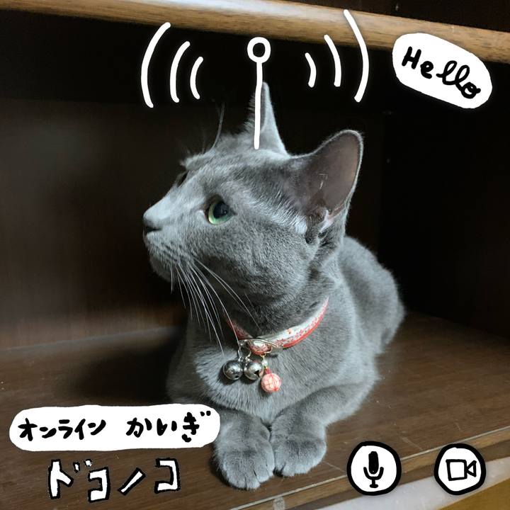 77b59131 1cff 4bb4 8387 72ffce113fcb 1590674859057