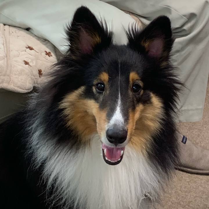 77b597b1 cc95 419e a32e 05dfdc4ef1ca 1563746755647