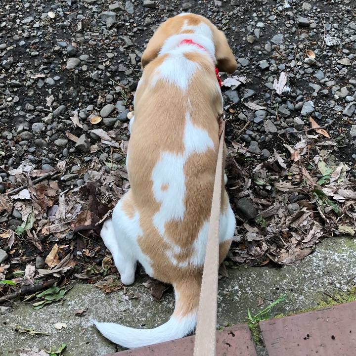 77b5a6a7 9f96 4fbe ae7c fc57eb307fa0 1523961443630