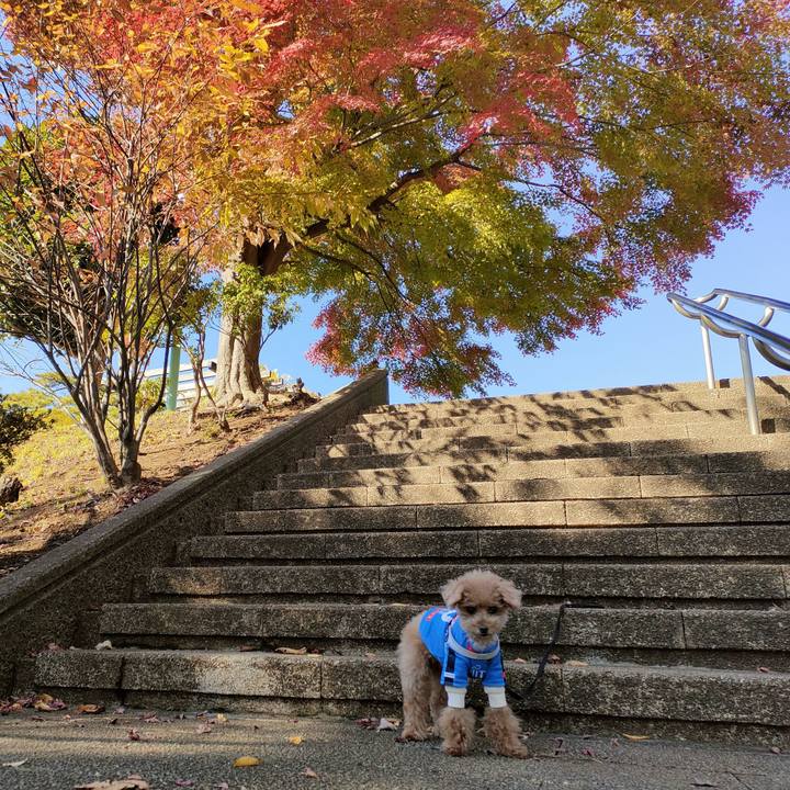 77b60fa7 efe9 4880 a201 96ae8403f213 1638589855793