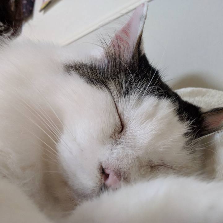 77b611c4 8a5a 4be9 b6d3 d40a4e229aac 1555598670487