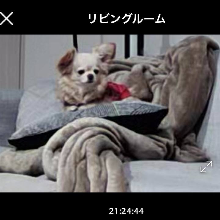 77b62189 4f29 4cec 8417 9f67b1139999 1748437363363