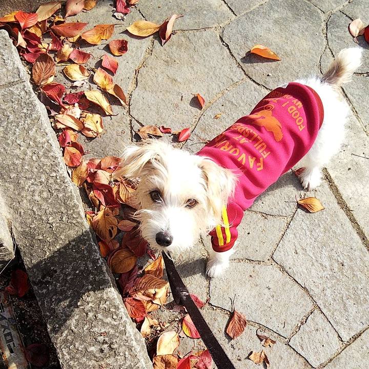 77b62336 117c 43cc bb69 0f09541e9b9d 1573968877400