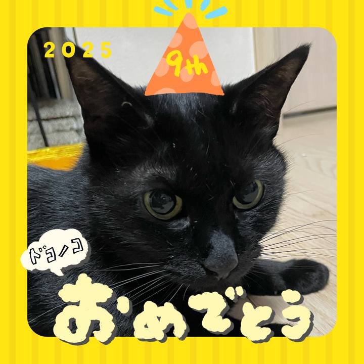 77b62337 cf88 4e8e aecc 18c361321665 1749116531934