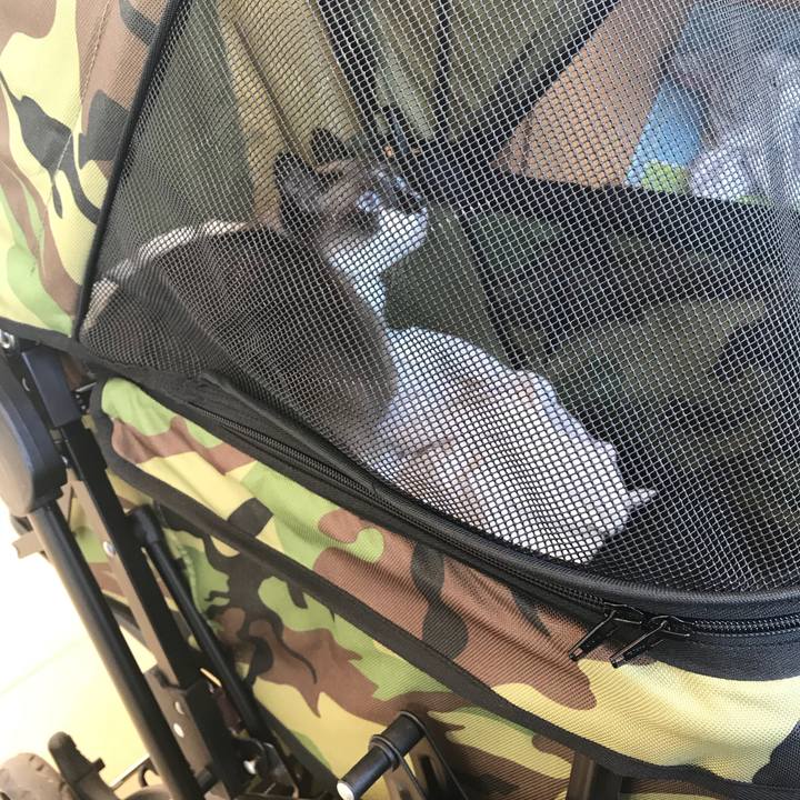 77b67896 3b17 4302 b6be 4fcbf0b1894e 1526824636270