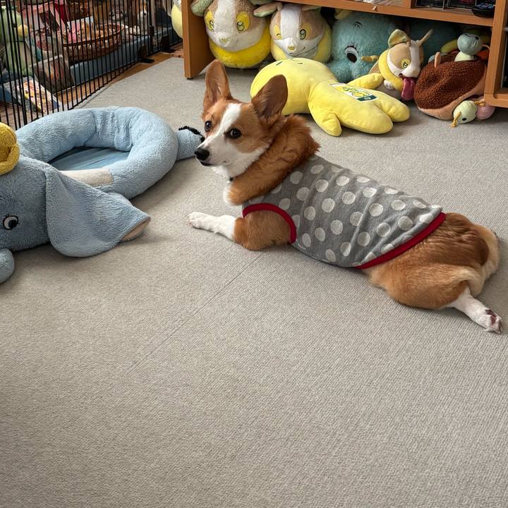 77b693c9 cd8a 4c6c 8be2 7caa8e724e19 1765184779723