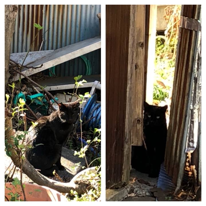 77b6b60f 60ad 4abd bde2 5e12b7a7b08d 1522415439041