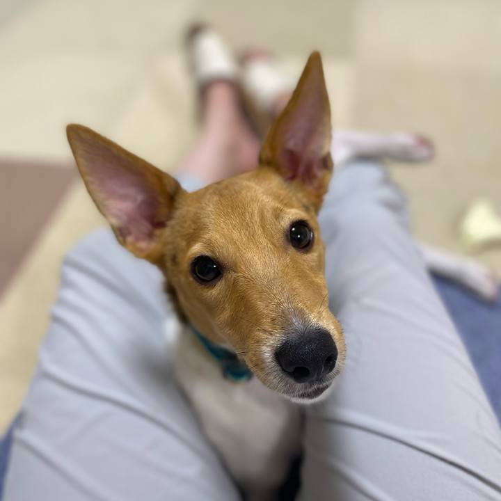 77b71115 6194 420e a857 443e7a042f95 1757943666635