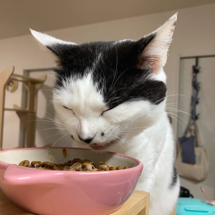 77b715a8 3d03 4c0b 8d7c 7161adb25699 1765400272974