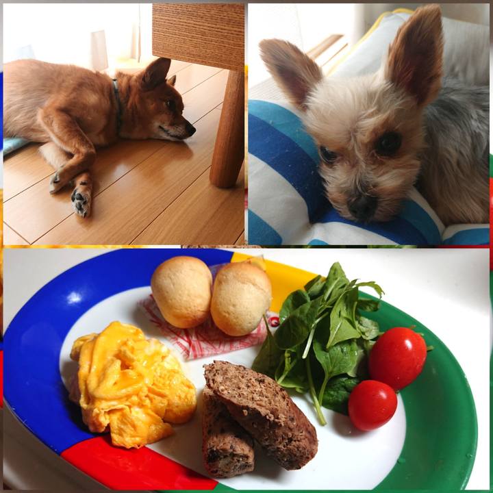 77b742fe 812b 448a 8354 71415ddb17f5 1597056196172