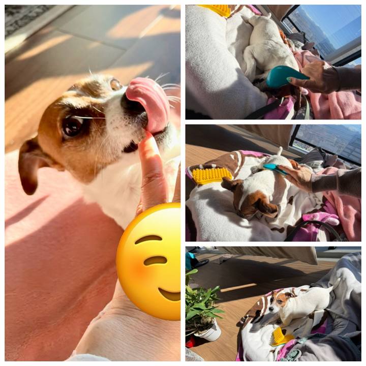 77b74d78 5734 4c2b 8c75 2a1cbf1ab5de 1772079139185