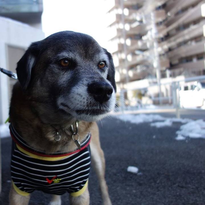 77b765cb cd14 4a35 a400 0dbb13c7ce4a 1517018690846