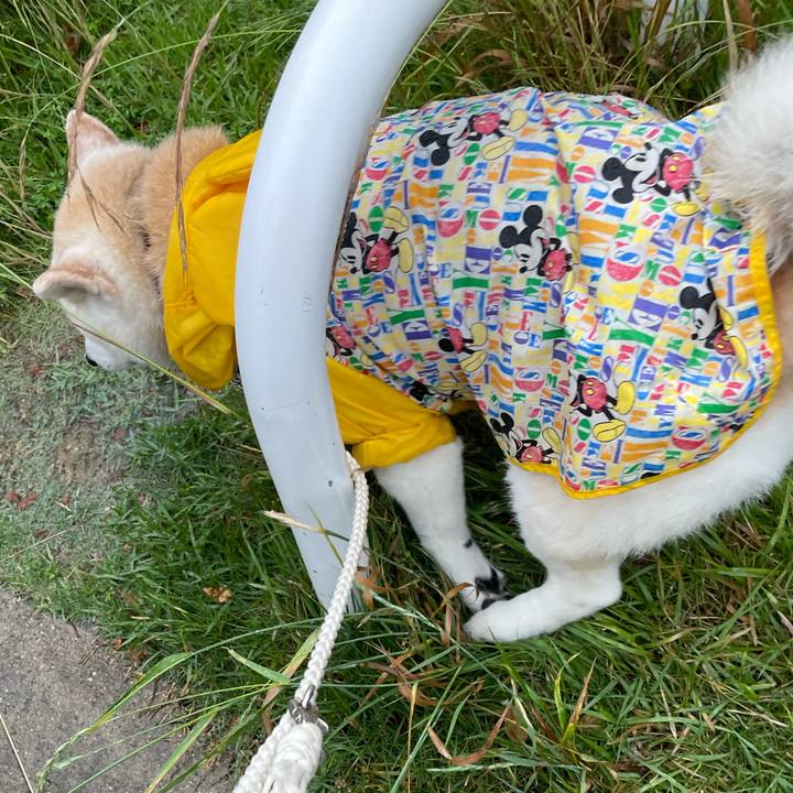 77b76767 5779 4eea a52d c1f892c7bc7f 1685708600537