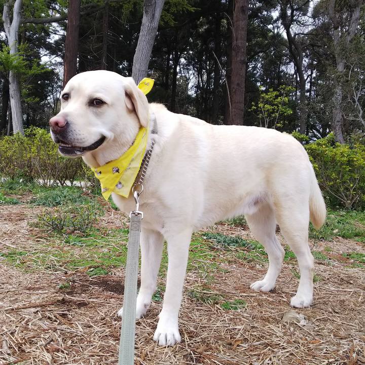 77b782db d50b 48fa 9cfd f460fbba1de2 1554703873590