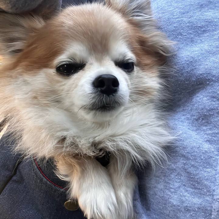 77b7a54d 7dff 436b 8926 3485c5823bbb 1771427726275