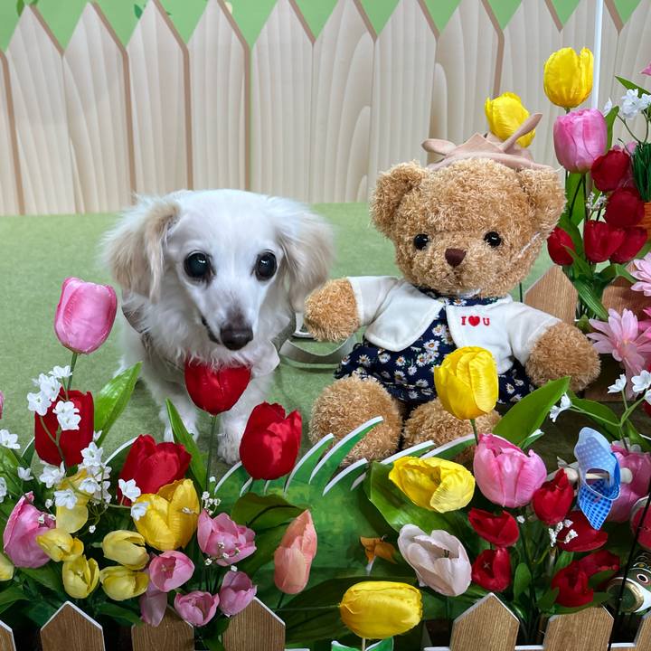 77b7bf2c 83be 4ca7 8a69 b04fe298d9a0 1746357412782