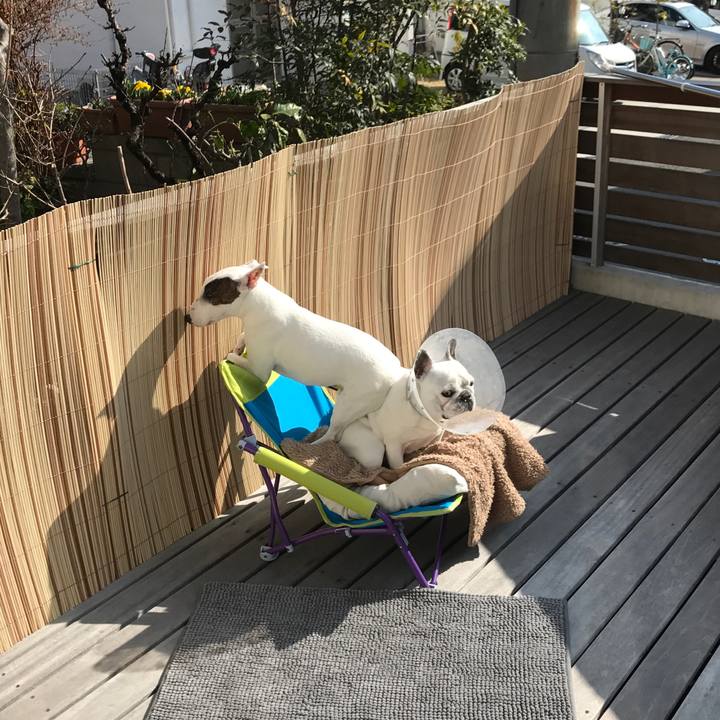 77b7db75 ca05 4999 9883 b223f33ee1fb 1520814137251