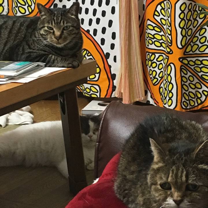 77b80258 469f 4622 99d4 3cef0bdffecf 1527909704916