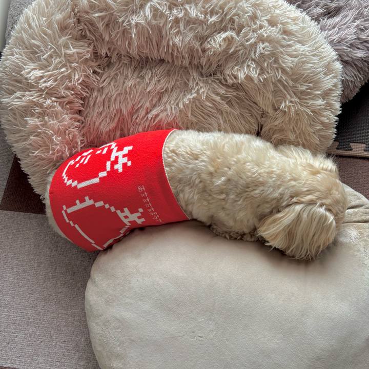 77b81dbe c4f9 47aa 8522 cb0bc8bdd0e6 1769303341792