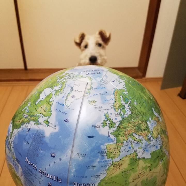 77b8249b 73ba 4541 a0f6 d7baa719c082 1537794326729