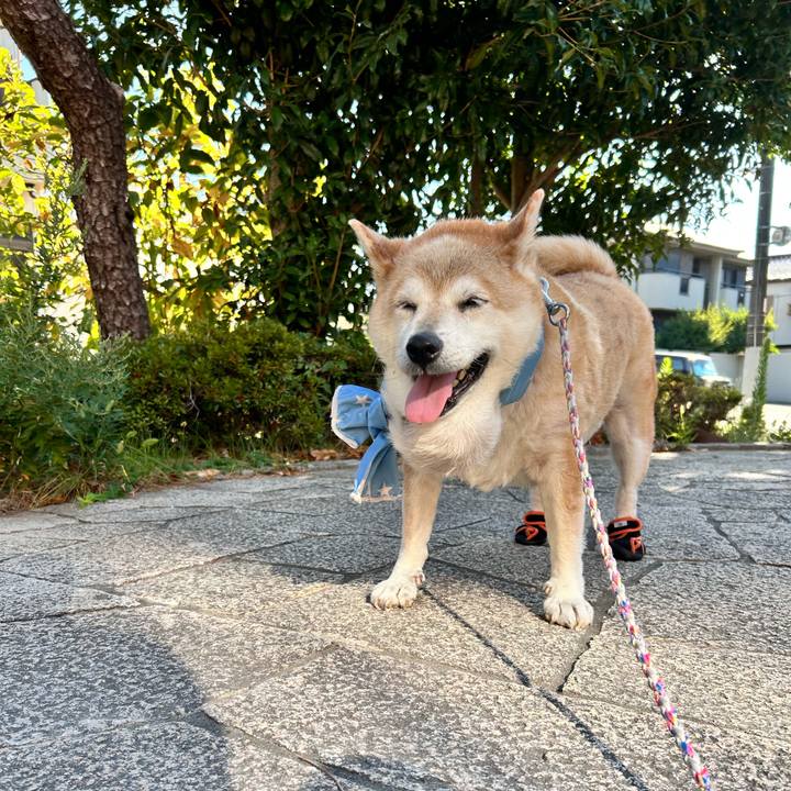 77b828f4 bf99 43b8 b150 f15d669e8042 1753742900868